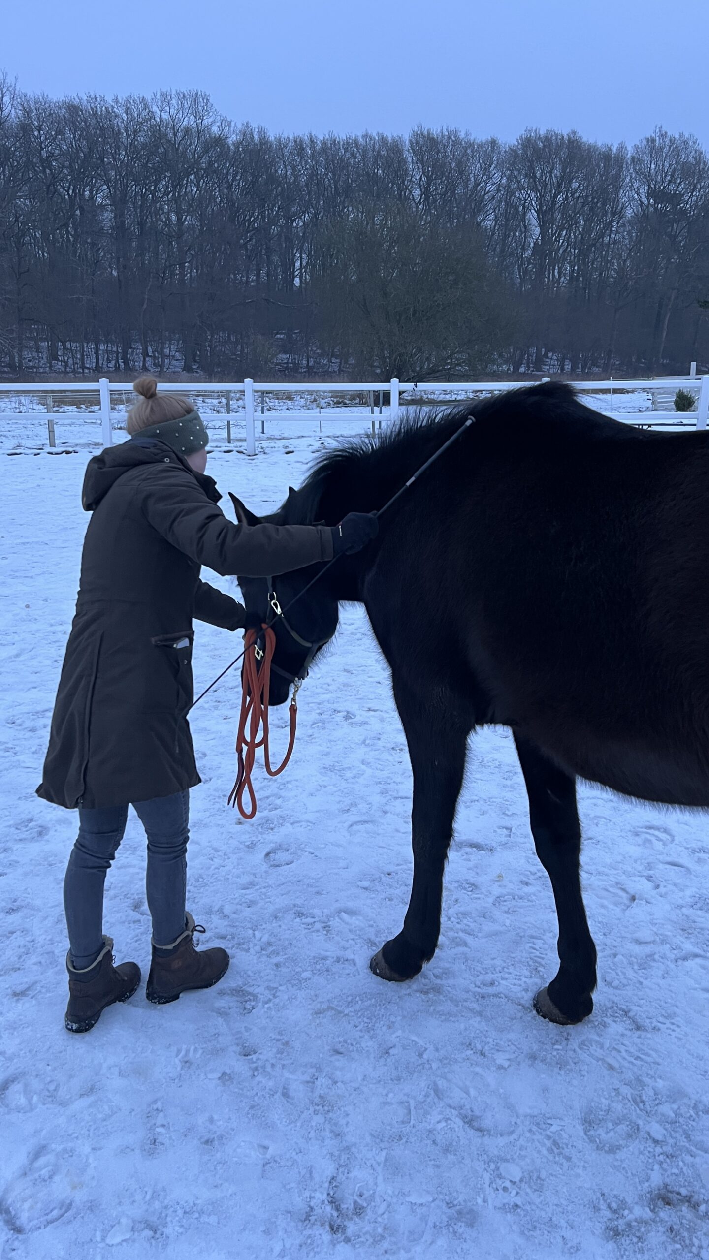 Denise Rausch Denise Rausch