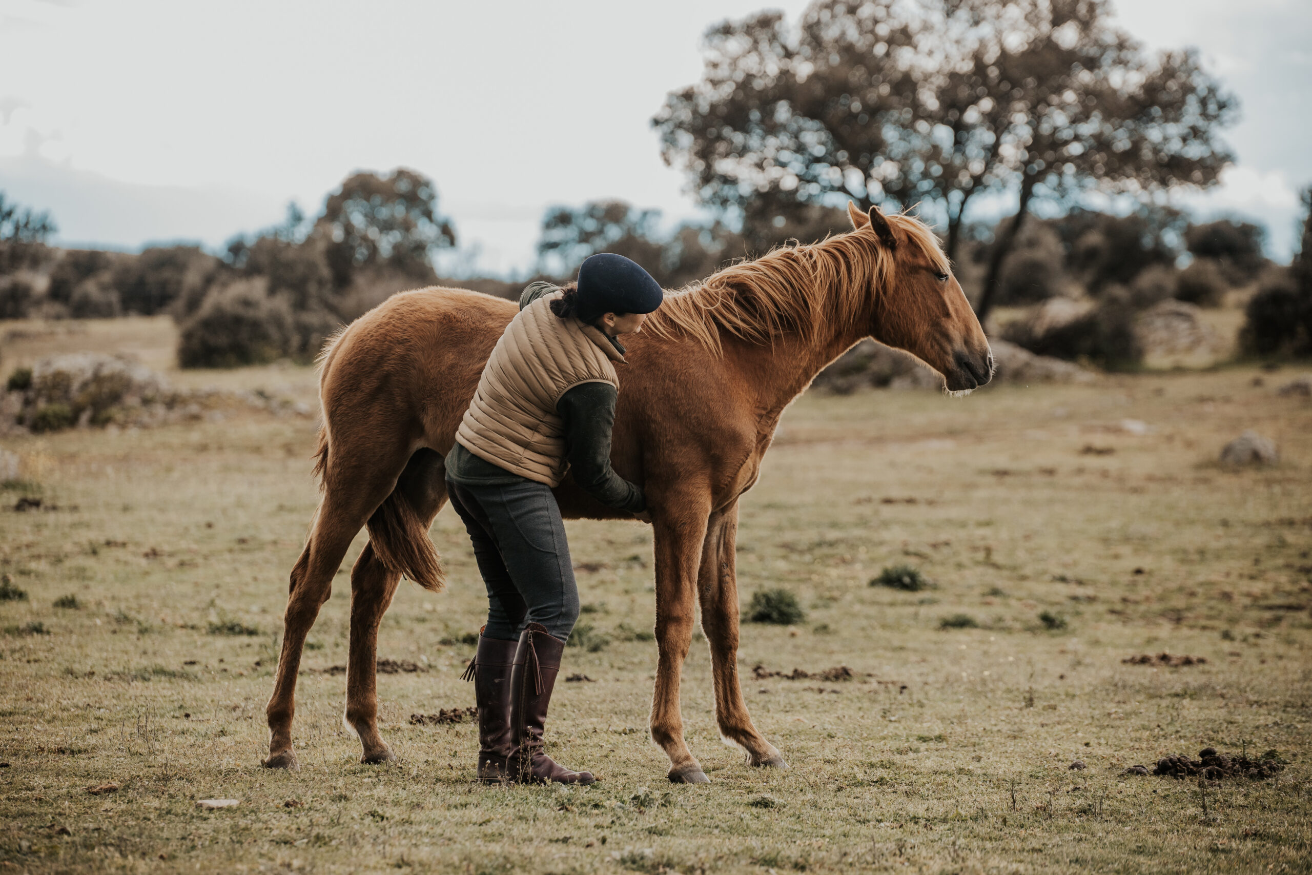 Sarah Schmieder mit Pferd - Fortschrittsbericht Sarah Schmieder mit Pferd - Fortschrittsbericht